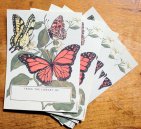 il_570xn-388562796_huj5